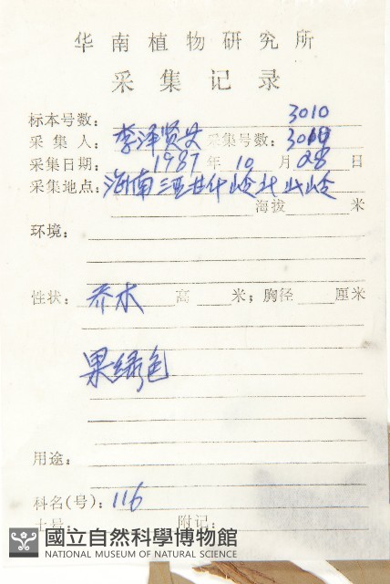青梅藏品圖，第2張
