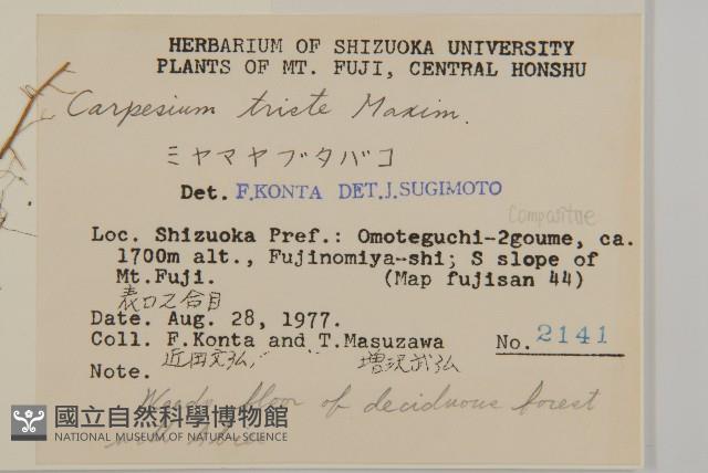 暗花金挖耳藏品圖，第2張