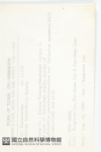 玉山山蘿蔔藏品圖，第2張