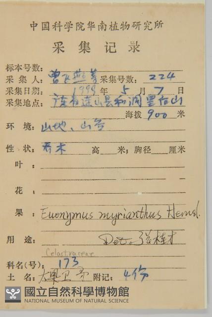 大果衛矛藏品圖，第2張