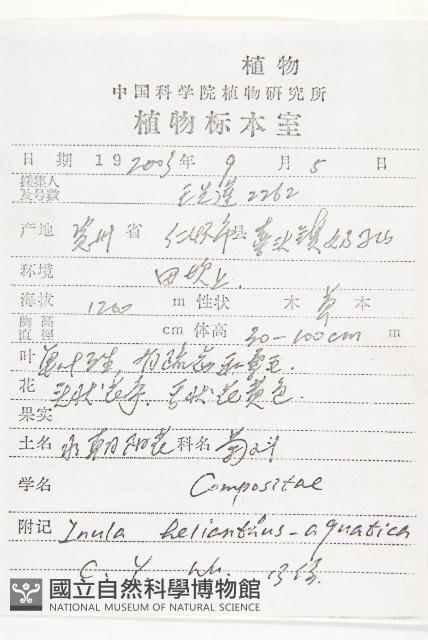 水朝陽花藏品圖，第2張