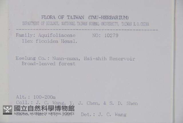 臺灣糊樗藏品圖，第2張