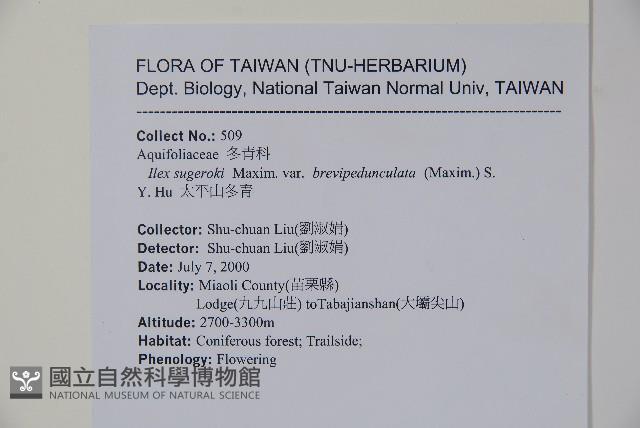 太平山冬青藏品圖，第2張