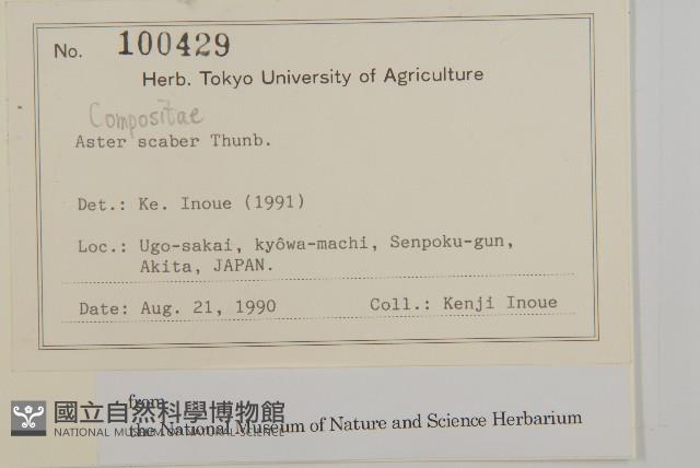 東鳳菜藏品圖，第2張