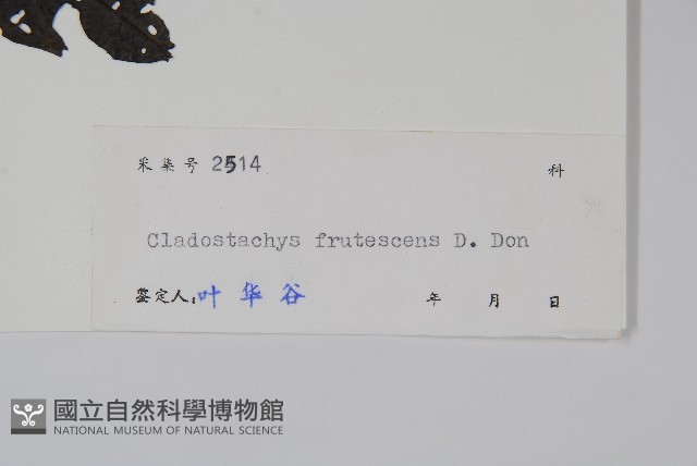 漿果莧藏品圖，第2張