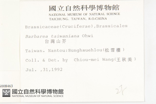 山芥菜藏品圖，第2張