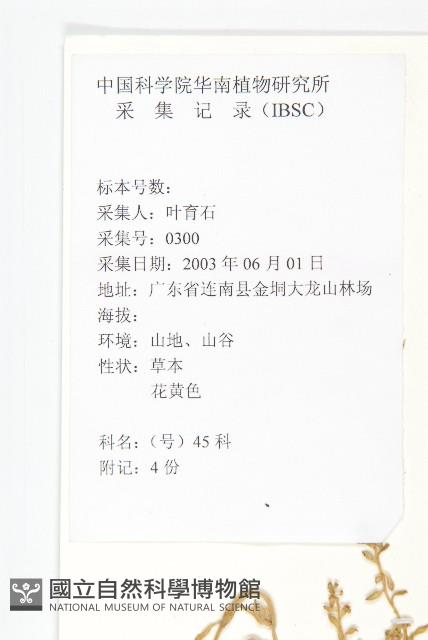 石板菜藏品圖，第2張