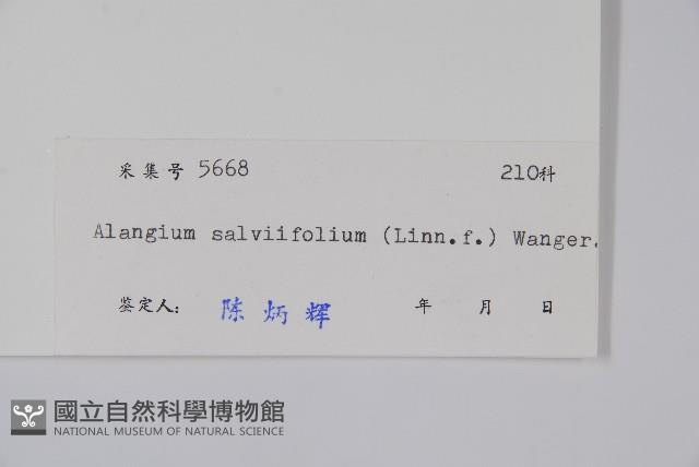 土壇樹藏品圖，第2張