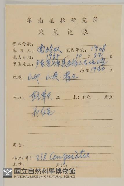 莽山紫菀藏品圖，第2張