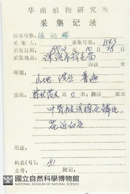 角花胡頹子藏品圖，第2張