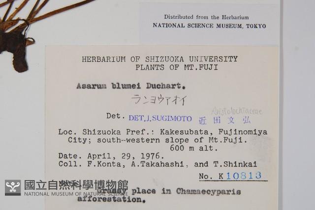 杜衡藏品圖，第2張