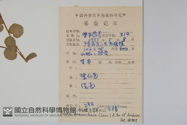 普剌特草藏品圖，第2張