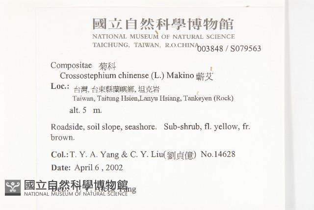 蘄艾、芙蓉菊藏品圖，第2張