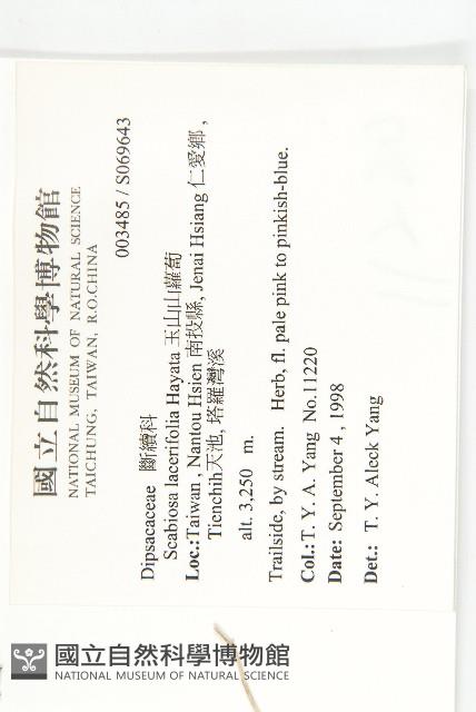 玉山山蘿蔔藏品圖，第2張