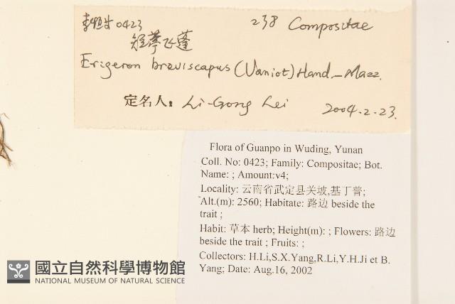 短薴飛蓬藏品圖，第2張