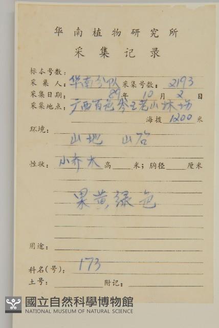 大丁黃藏品圖，第2張