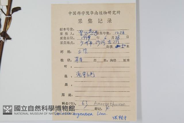 青葙藏品圖，第2張