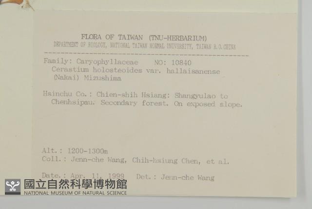 卷耳藏品圖，第2張