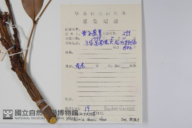 城口十大功勞藏品圖，第2張