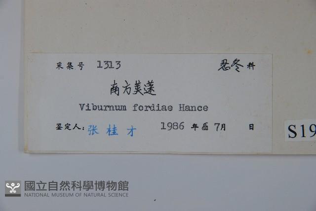 南方莢迷藏品圖，第2張