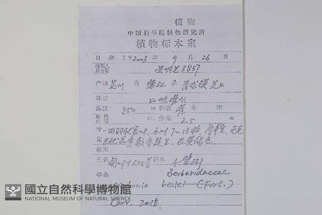 闊葉十大功勞藏品圖，第2張