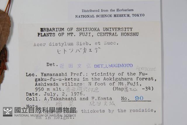 二拄槭藏品圖，第2張