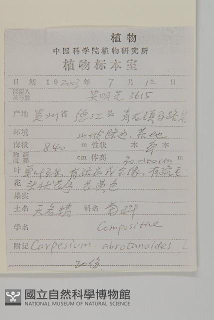 天名精藏品圖，第2張