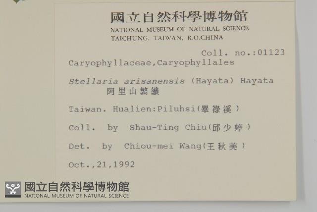 阿里山繁縷藏品圖，第2張