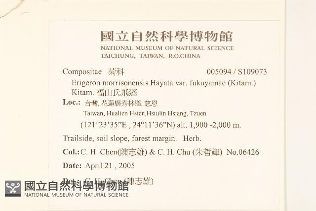 福山氏飛蓬藏品圖，第2張