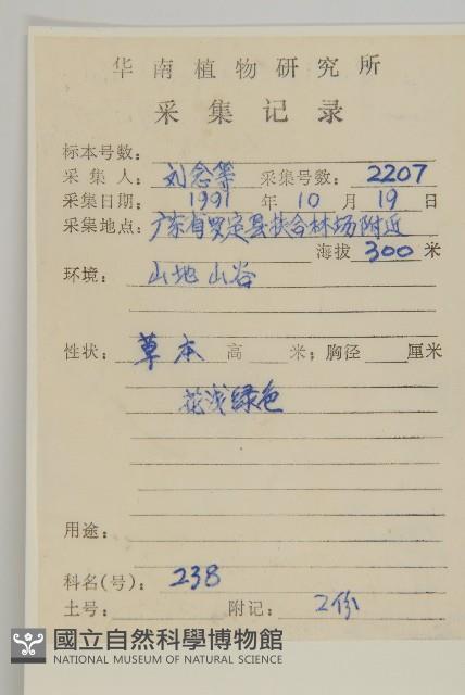 魚眼菊藏品圖，第2張