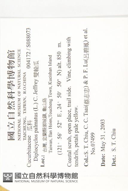 雙輪瓜藏品圖，第2張