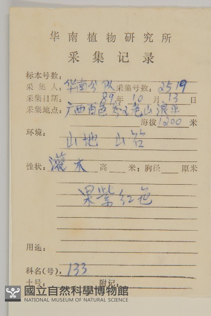 石風車子藏品圖，第2張