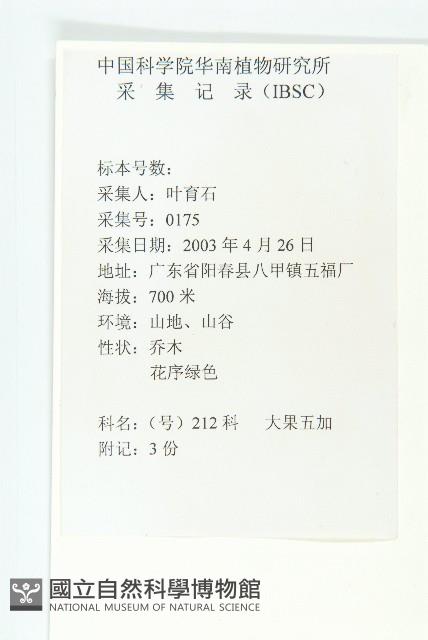 馬蹄參藏品圖，第2張