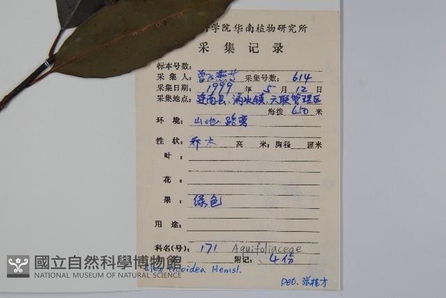 臺灣糊樗藏品圖，第2張