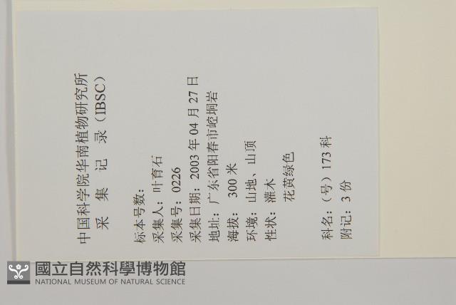 亮葉衛矛、中華衛矛藏品圖，第2張