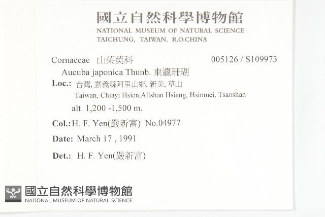 東瀛珊瑚藏品圖，第2張