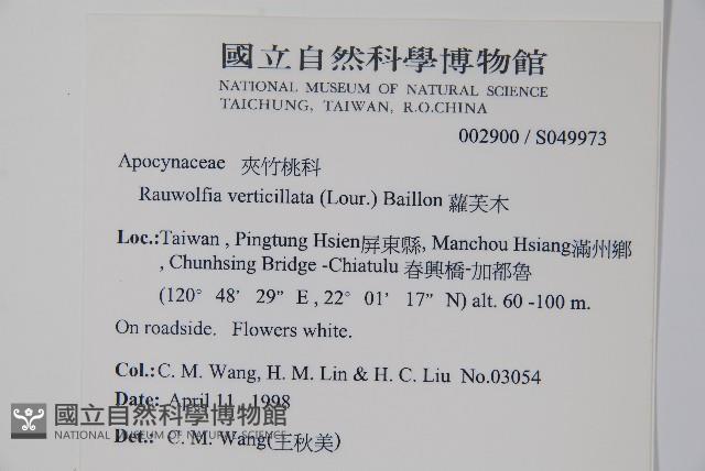 蘿芙木藏品圖，第2張