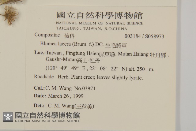 生毛將軍藏品圖，第2張