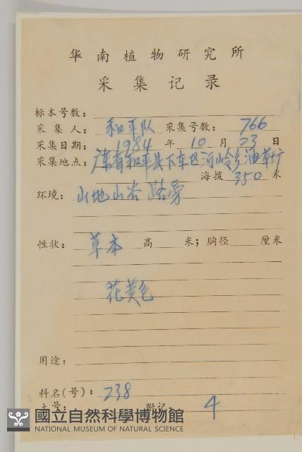 裂葉艾納香藏品圖，第2張