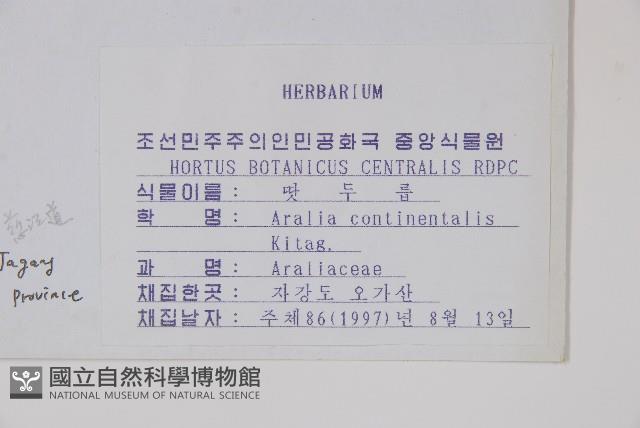 東北土當歸藏品圖，第2張