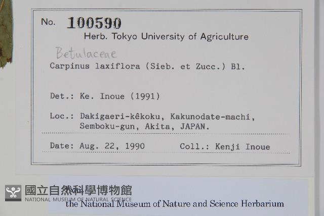 登錄號:S128083藏品圖，第2張