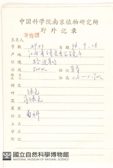 六角草藏品圖，第2張