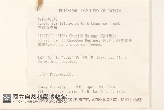 里龍山澤蘭藏品圖，第2張