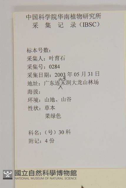 華南金粟蘭藏品圖，第2張