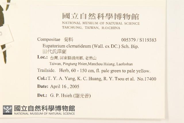 田代氏澤蘭藏品圖，第2張