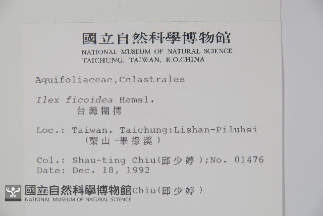 臺灣糊樗藏品圖，第2張