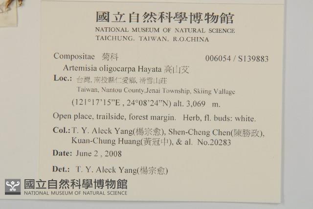 高山艾藏品圖，第2張