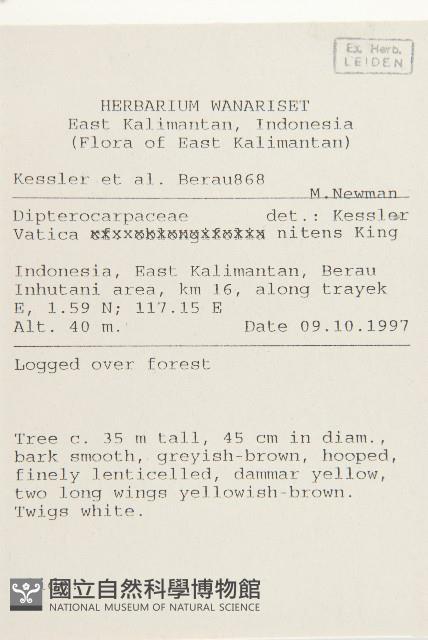 登錄號:S058883藏品圖，第2張