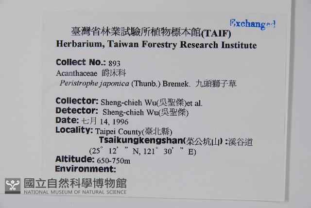 九頭獅子草藏品圖，第2張