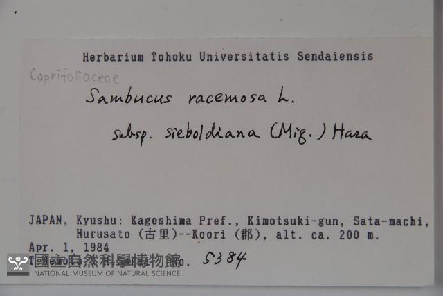 登錄號:S058583藏品圖，第2張